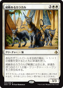 Regal Caracal - Vista detallada 1 de Magic México | Hydra