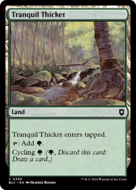 Tranquil Thicket - Magic: The Gathering - BLC Near Mint Inglés