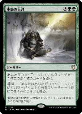 Shamanic Revelation - Magic: The Gathering - BLC Near Mint Japonés