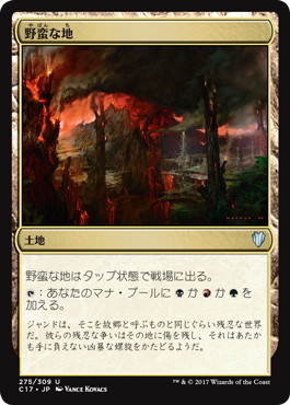 Savage Lands - Magic: The Gathering - C17 Near Mint Japonés