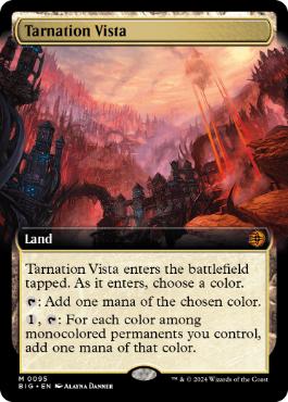 Tarnation Vista - Magic: The Gathering - BIG Near Mint Inglés