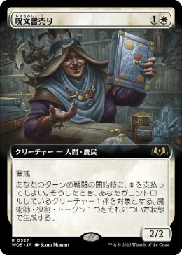 Spellbook Vendor - Vista detallada 1 de Magic México | Hydra
