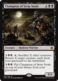 Champion of Stray Souls - Vista detallada 1 de Magic México | Hydra