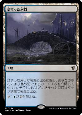 Choked Estuary - Vista detallada 1 de Magic México | Hydra